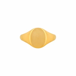 Matte Signet Ring - Gold -Men Jewelry Store 14 825bb8c6 2801 4c9c 85df 3d928efacfbe