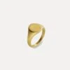 Matte Signet Ring - Gold -Men Jewelry Store 67 d84fa141 b5a4 49f8 bc20 c54212fd9ea9