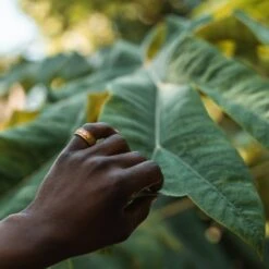 Verve Ring - Gold -Men Jewelry Store AR503048